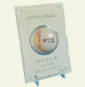 オリジナルミラー盾